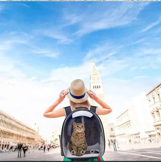 cats bag space design,Travel Transparent Pet Cat Carrier Bag Outdoor portable Backpack for Cats Small Dogs Breathable Cat Carrying Bag Pet Supplies