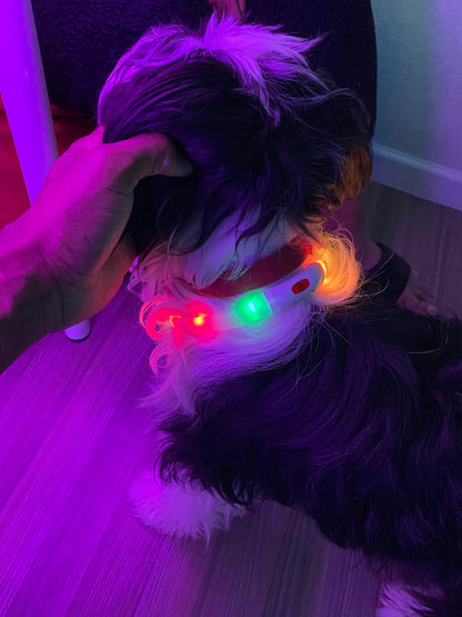 Silicone Led Dog Collar Usb Rechargeable Luminous Dog Collar Anti-Lost/Car Accident Safety Pet Light Collar for Dog Accessories