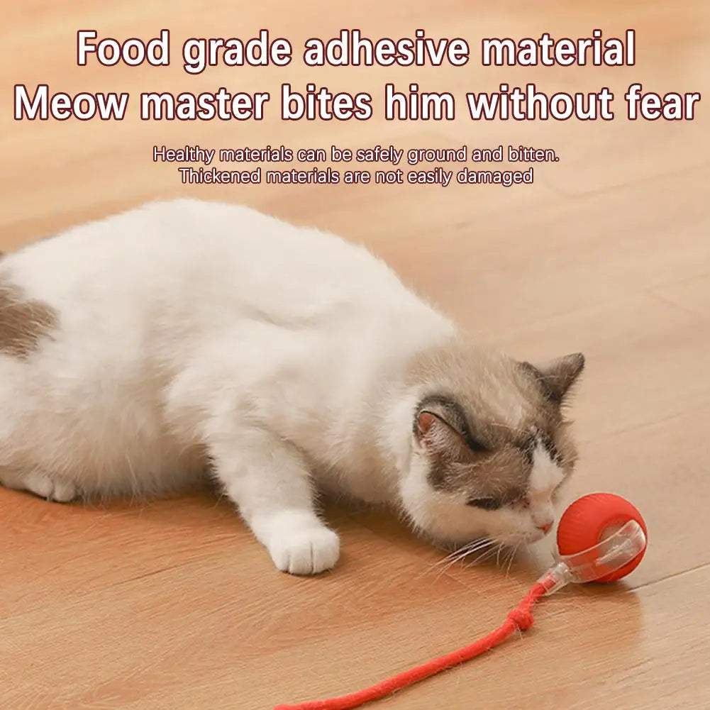 Cat Interactive Ball Toys Automatic Rolling Ball Faux Tail Rechargeable Smart Pet Electric Toy Dog Cat Training Imitate Mouse