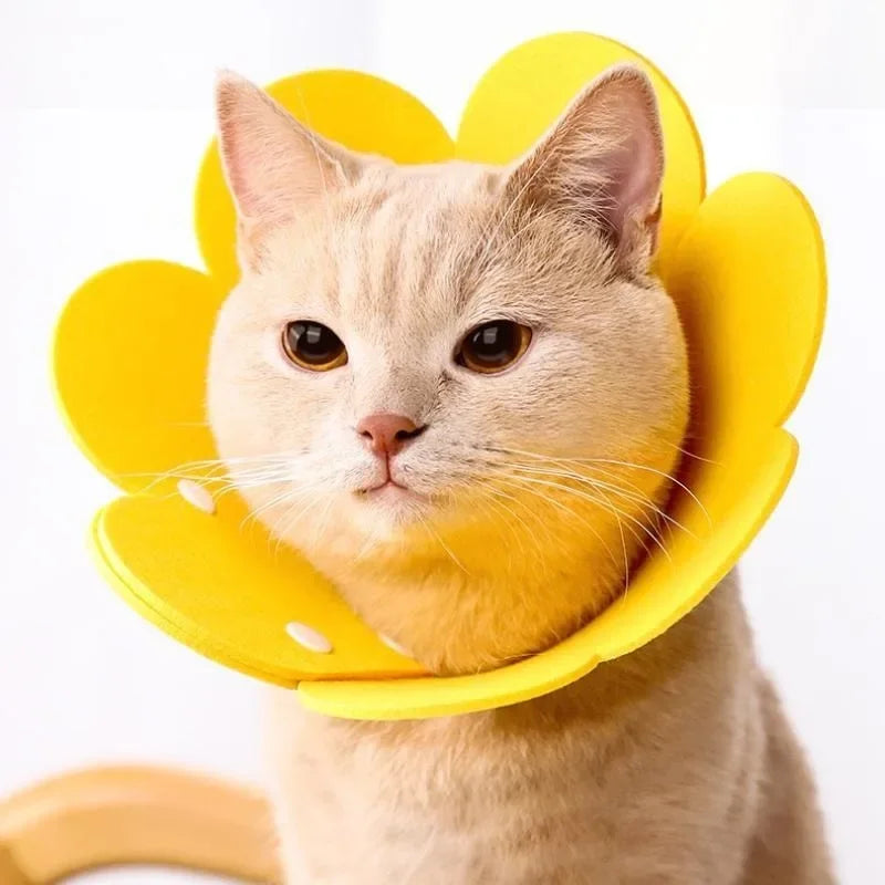 Flower Shape Cat Recovery Collar Adjustable Wound Healing Protective Cone Collars For Cats Kitten Small Dogs Pupply