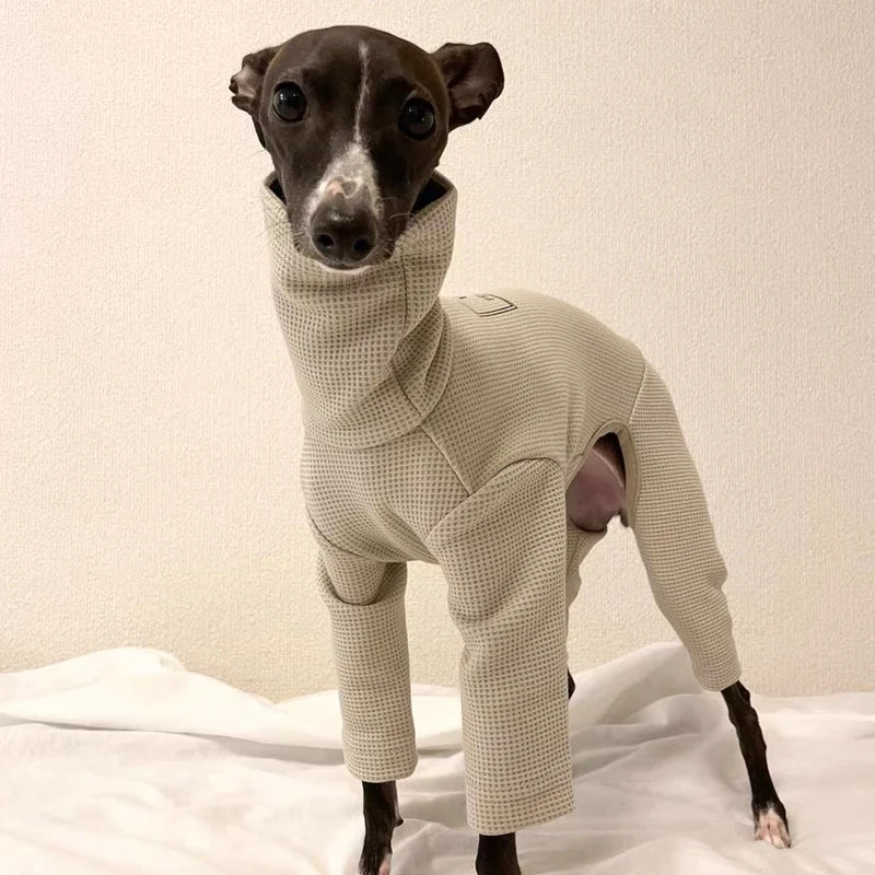 Fashion Breathable Waffle Coat for Whippet Berlington Terrier Spring Autumn 4-legged Soft Jumpsuit for Greyhound Pet Supplier