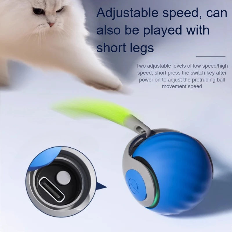 Cats Interactive Ball Toys, Automatic Rolling Ball with Faux Tail,USB Rechargeable SmartElectric Pet Toy for Teaser and Training