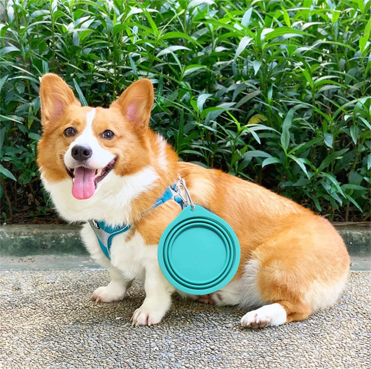 350/600ml Collapsible Dog Pet Folding Silicone Bowl Outdoor Travel Portable Puppy Food Container Feeder Dish Bowl Pet supplies