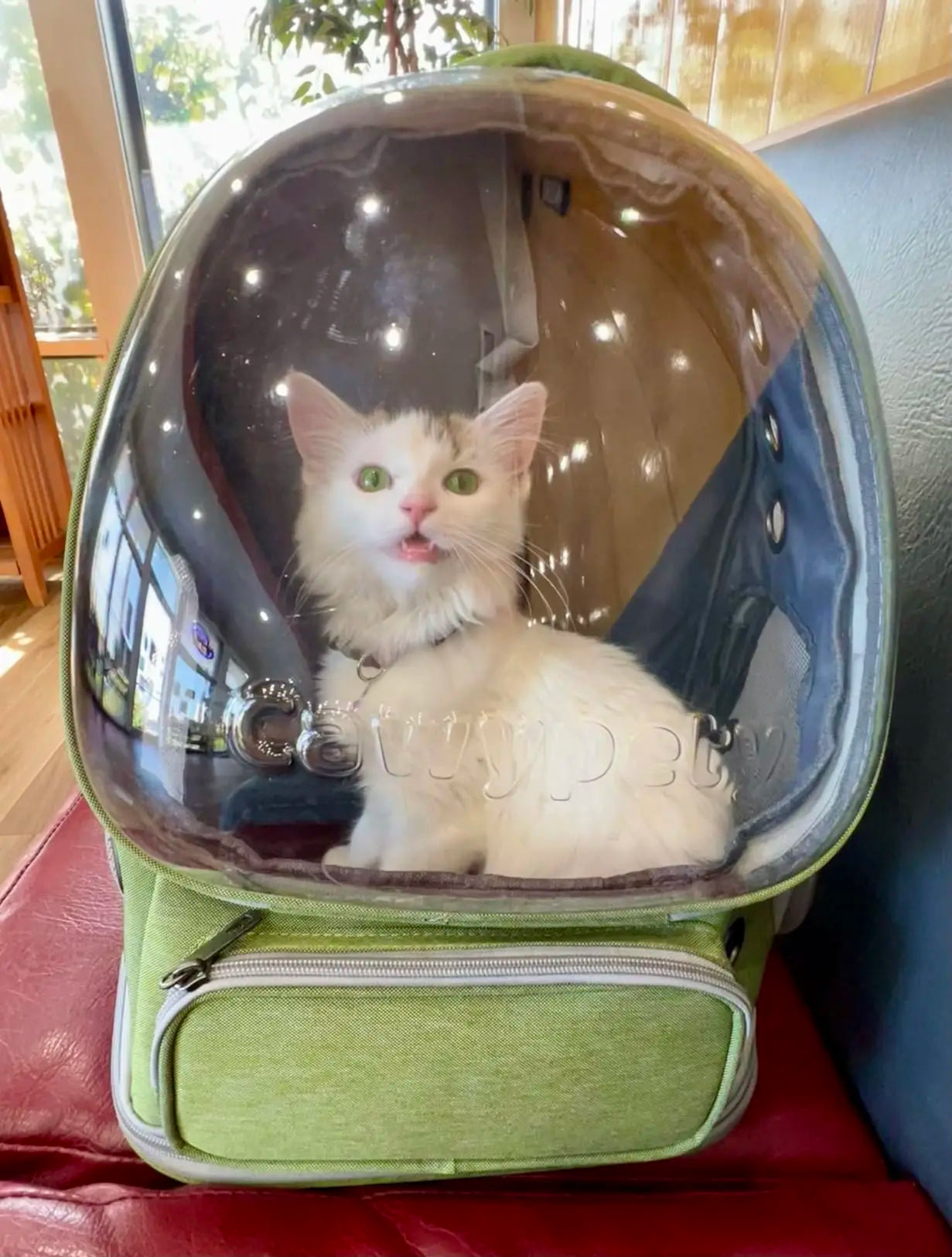 cats bag space design,Transparent Space Capsules Pet Cat Backpack Double Shoulder Breathable Pet Backpack Outdoor Portable Side-opening Cat Bag