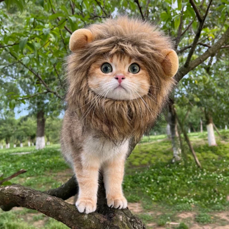 Cute Lion Mane Frog Cat Wig Hat Cover Funny Pet Cloth Cap Fancy Party Little Dog Cosplay Costume Rabbit Bear Kitten Puppy Hats