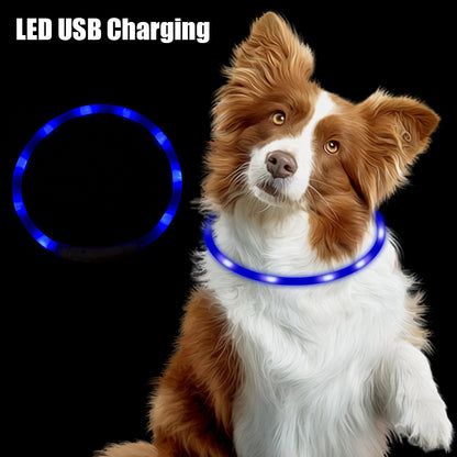 Night Luminous Charge Collar Pet Accessories Night Safety Flashing Glow  Collar Dog Loss Prevention Led Usb Dog Collar